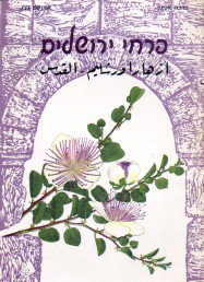פרחי ירושלים